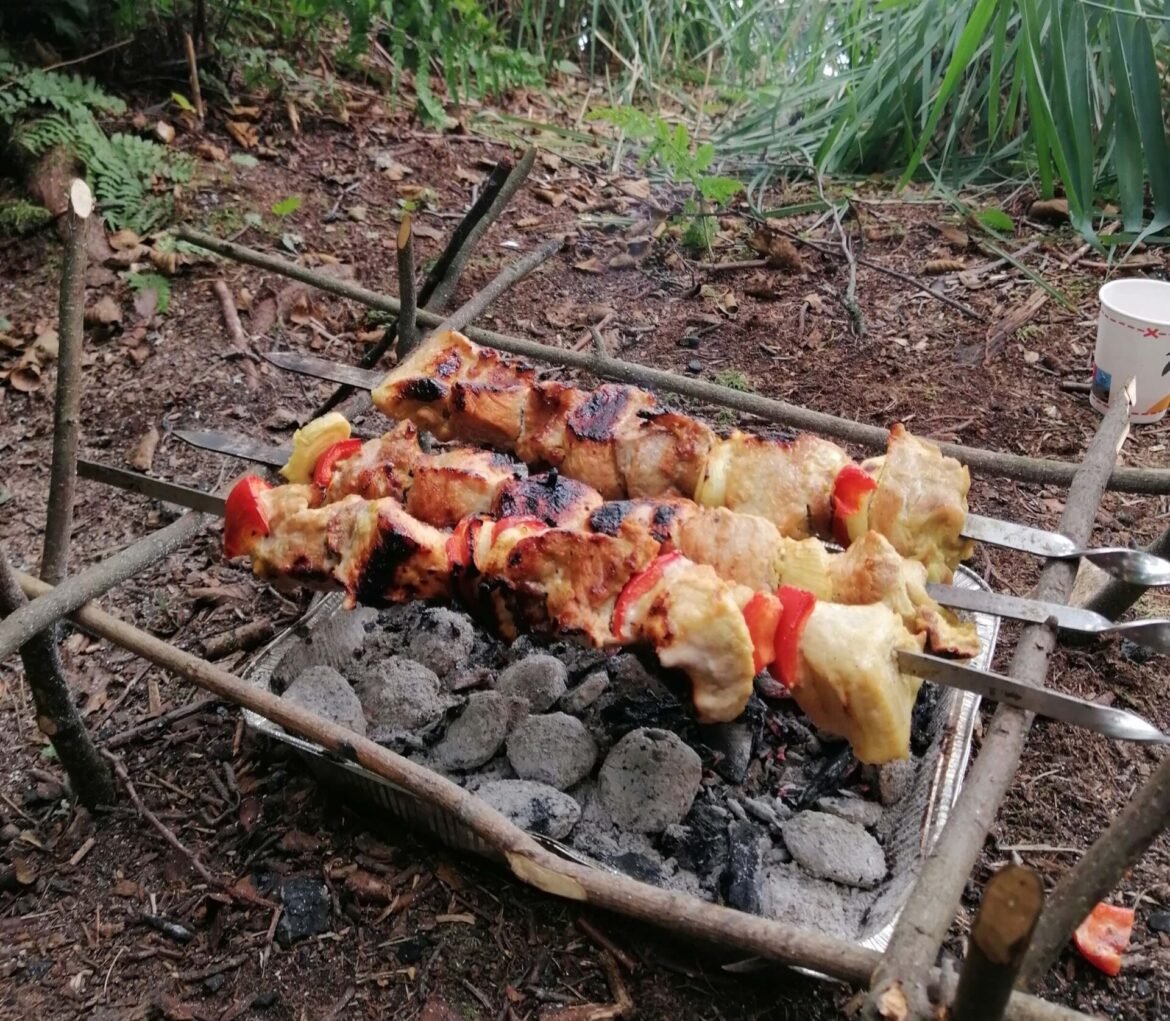 barbecue in nature