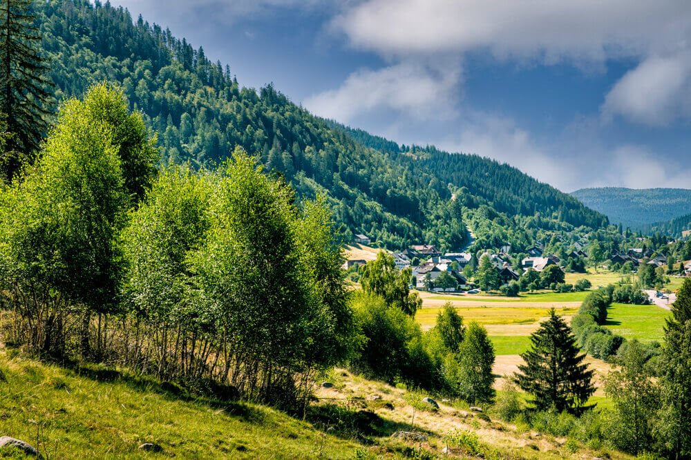 forests and picturesque valleys of Baden-Württemberg