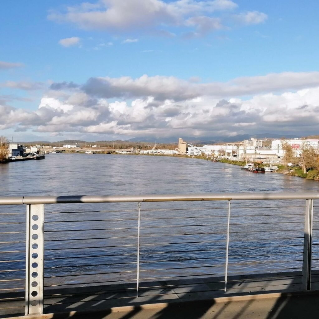 Rhine River Promenade