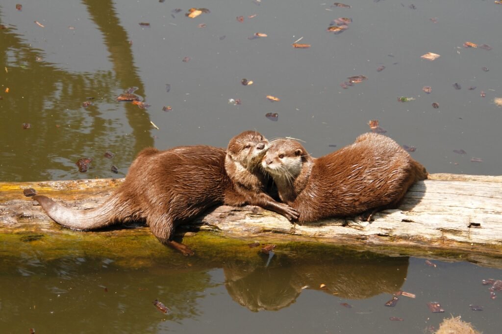Basel Zoo